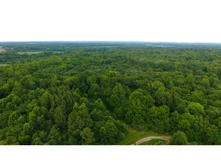 TRACT 53 - ILLINOIS LAND AUCTION - 4,810+/- ACRES OFFERED IN 85 TRACTS IN FRANKLIN, WILLIAMSON, HAMILTON & SALINE COUNTIES, ILLINOIS